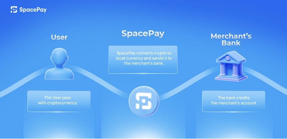 Top Altcoin to Keep On Your Radar - SpacePay’s $1M+ Presale Proves Investor Confidence Is High
