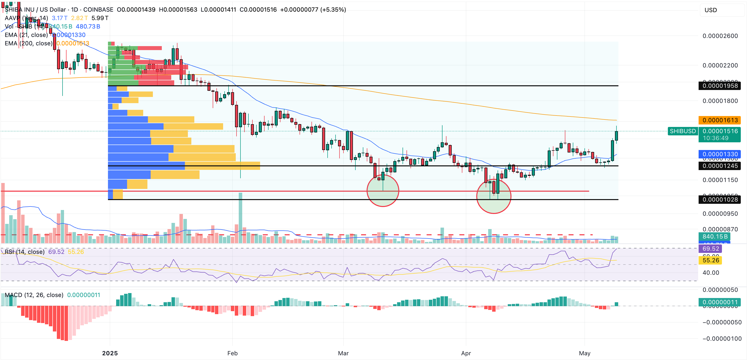 shiba inu daily chart