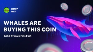 AKE Coin