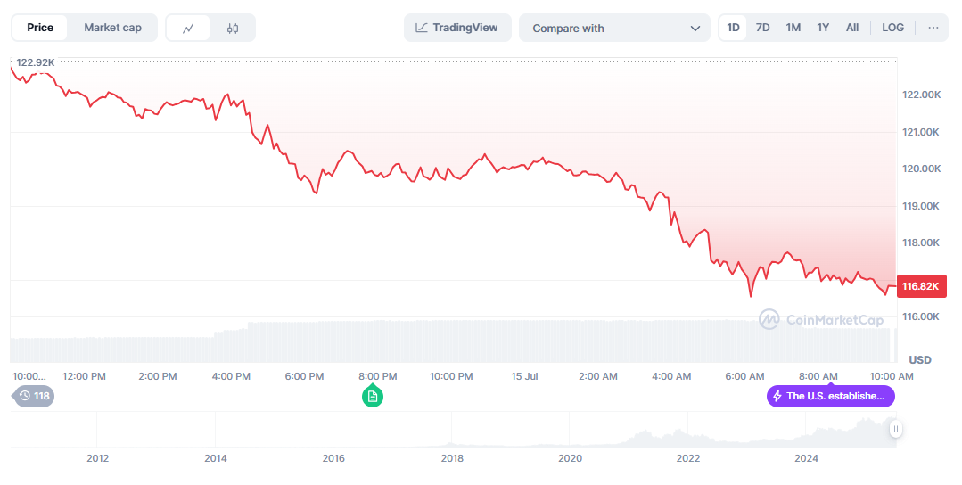 Bitcoin's Price Drops