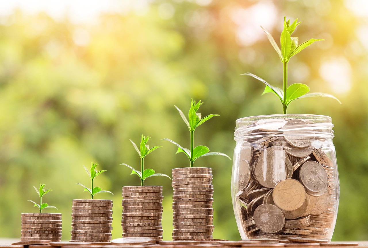 Investment growth