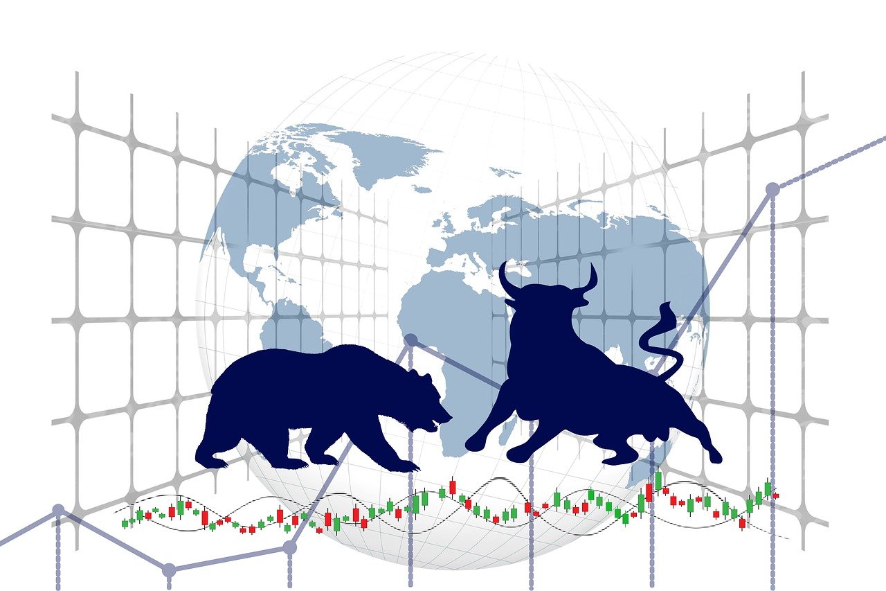 Bull and bear stock market