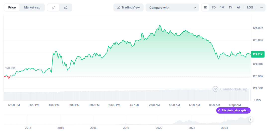 Bitcoin Price Chart