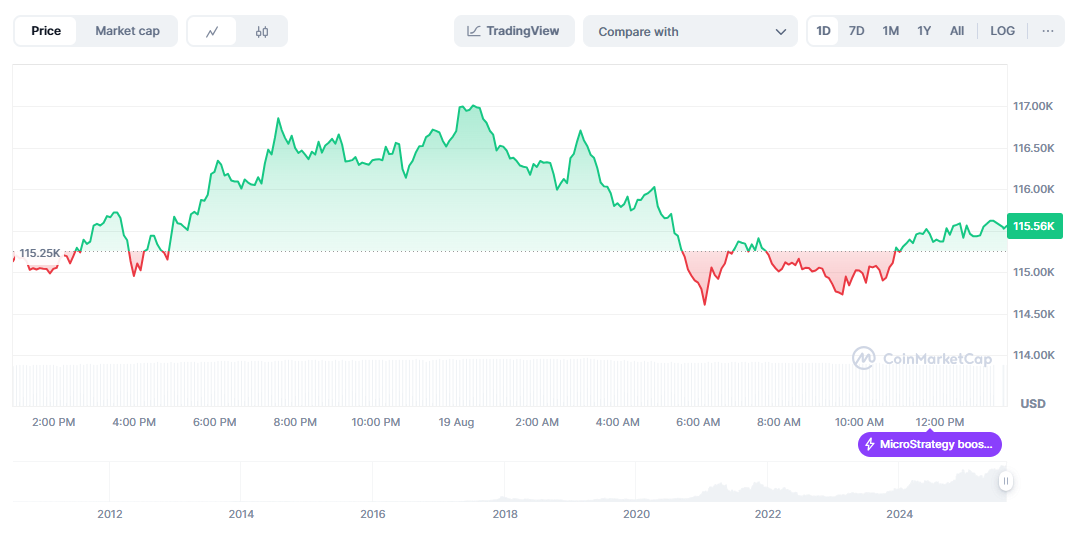 Bitcoin Price Drops