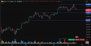 best crypto to buy now