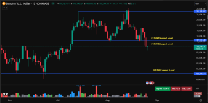 Bitcoin price prediction