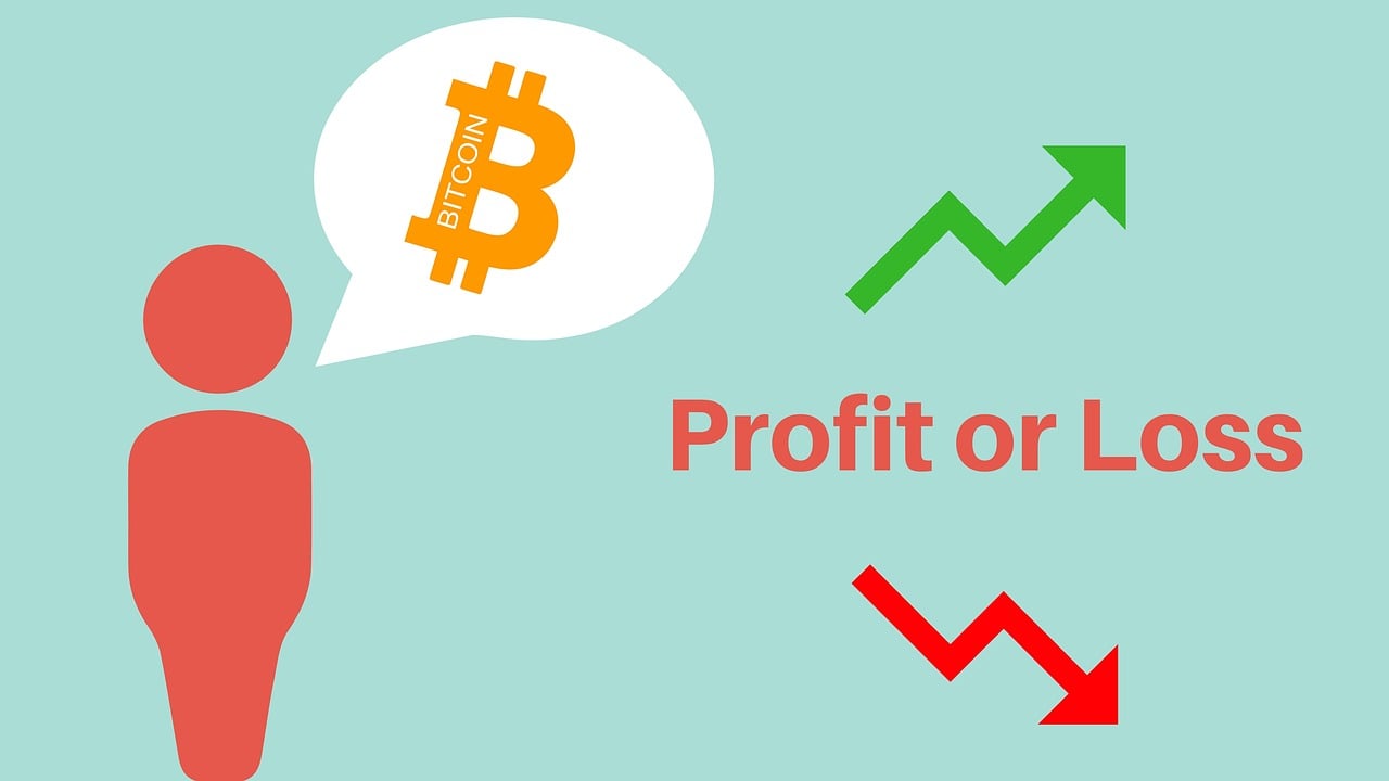 Bitcoin profit or loss