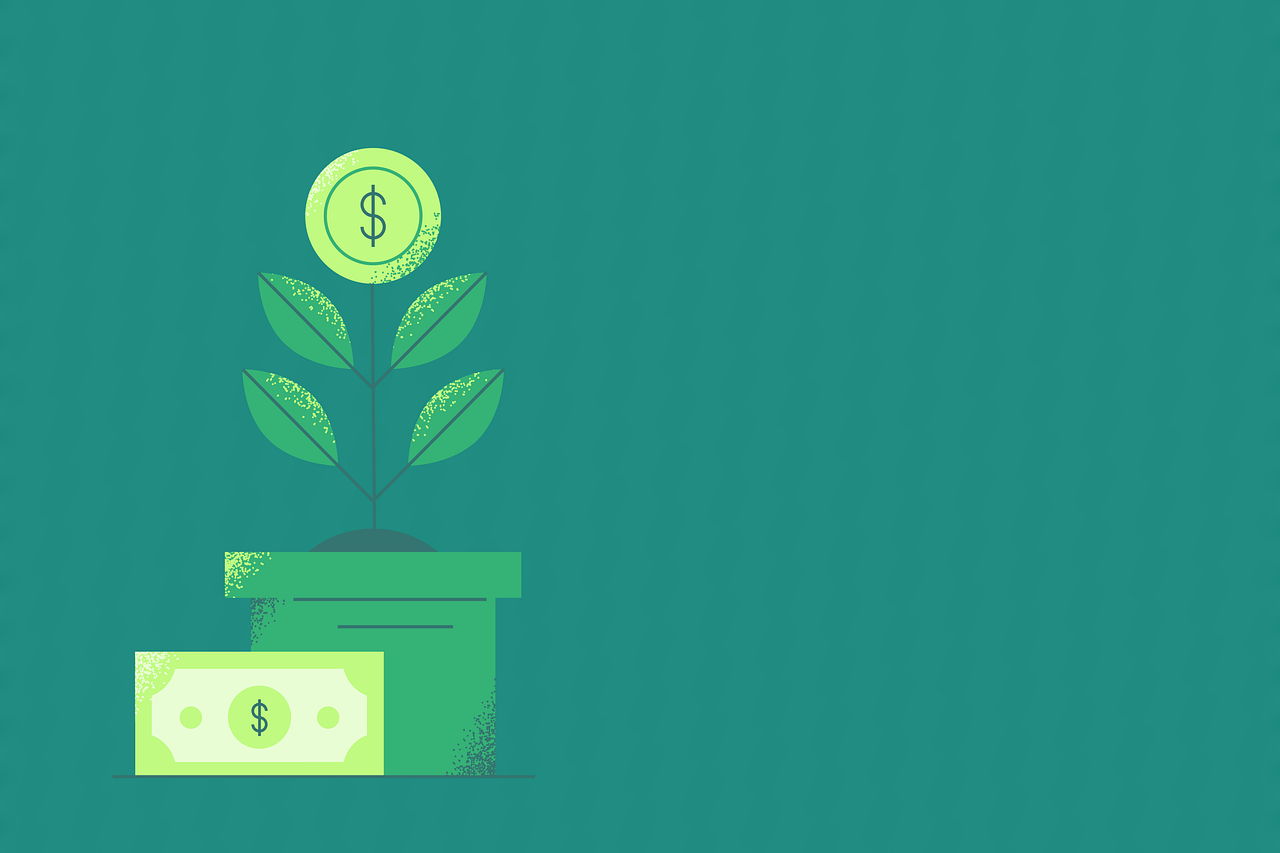 Investment growth