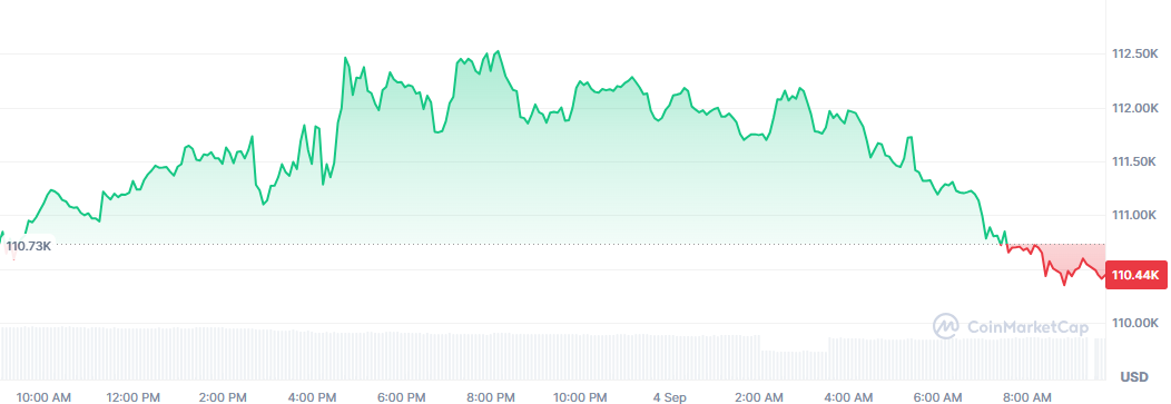 Bitcoin Price