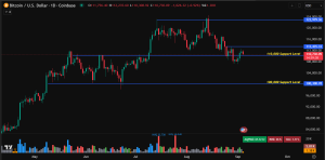Bitcoin price prediction