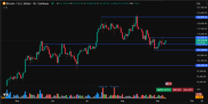 Bitcoin price prediction