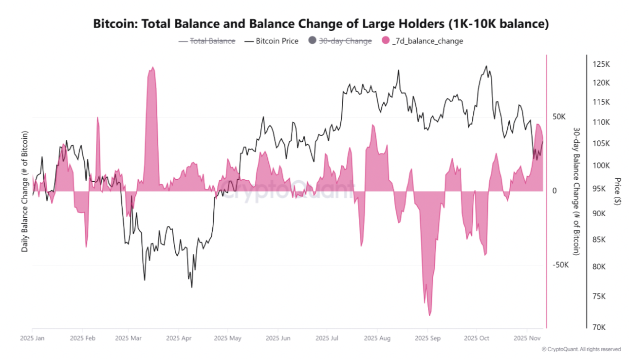 bitcoin whale accumulation