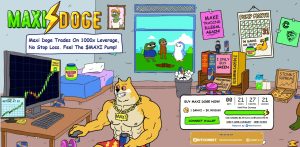 maxi doge