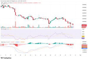 PEPE Tradingview 30 jan