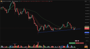 Bitcoin price forecast