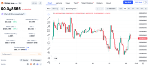 Shiba Trading 13 Jan 26