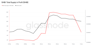 Shiba total supply in profit 13 Jan 26