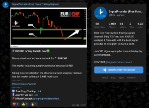 SignalProvider Best Telegram Groups for Forex Signals