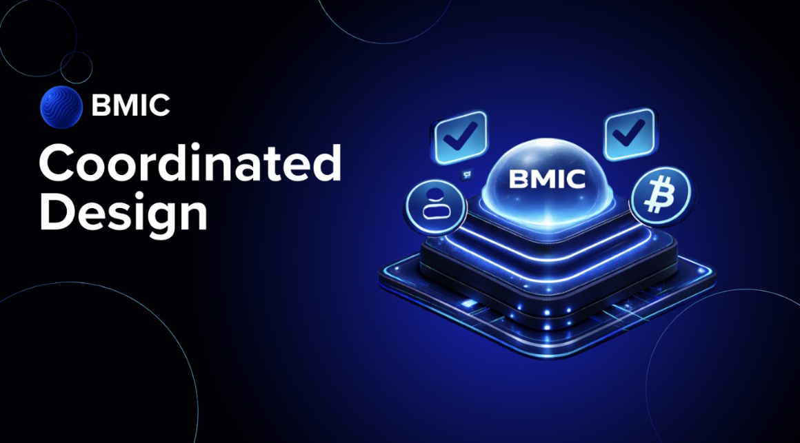 BMIC im Vergleich zu Ledger