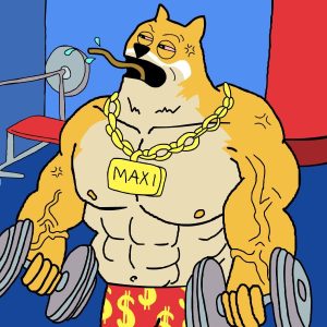 best crypto to buy maxi doge gym bro