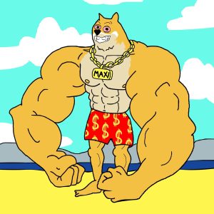 best crypto to buy maxi doge gaining