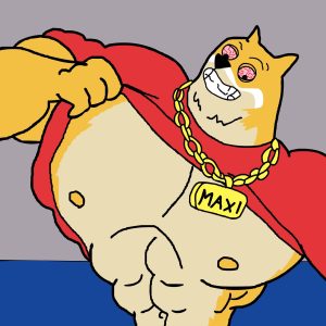 best crypto to buy maxi doge shredded