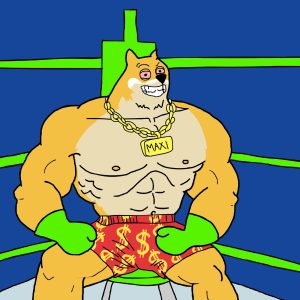 best meme coins to buy maxi doge corner