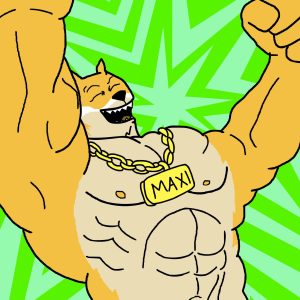 maxi doge best crypto to buy green dream paxos dogecoin