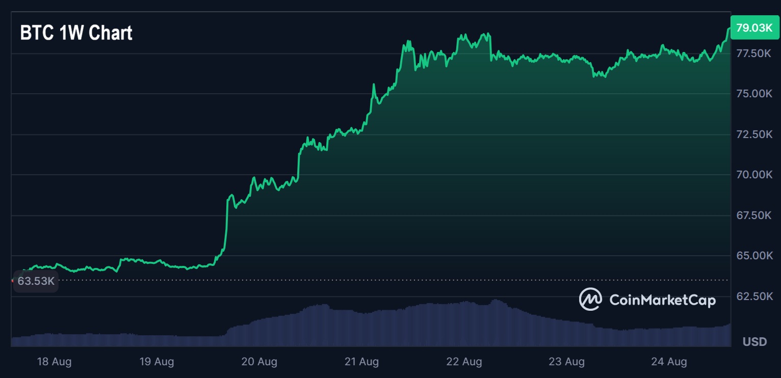 BTC 1W Chart