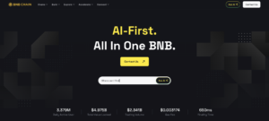 bnb chain homepage