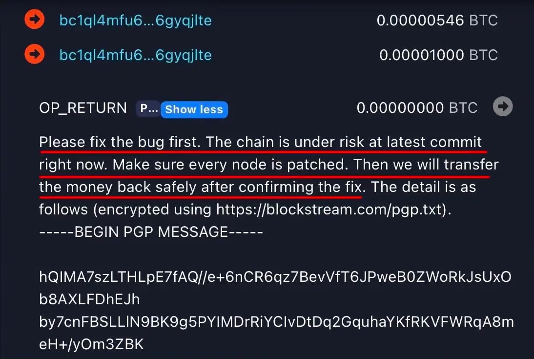 Hacker bug message