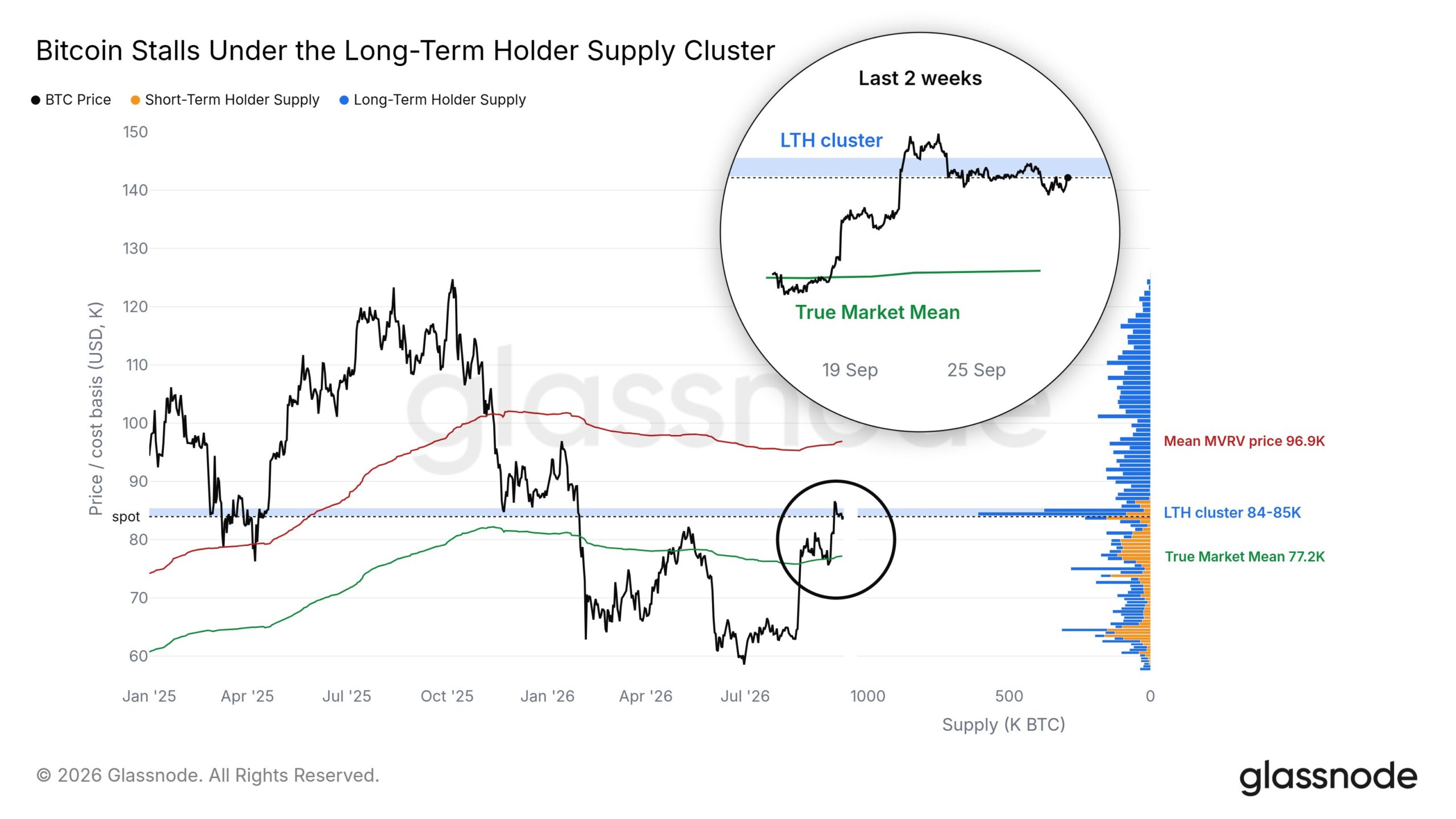 Long-Term Holders Supply Cluster