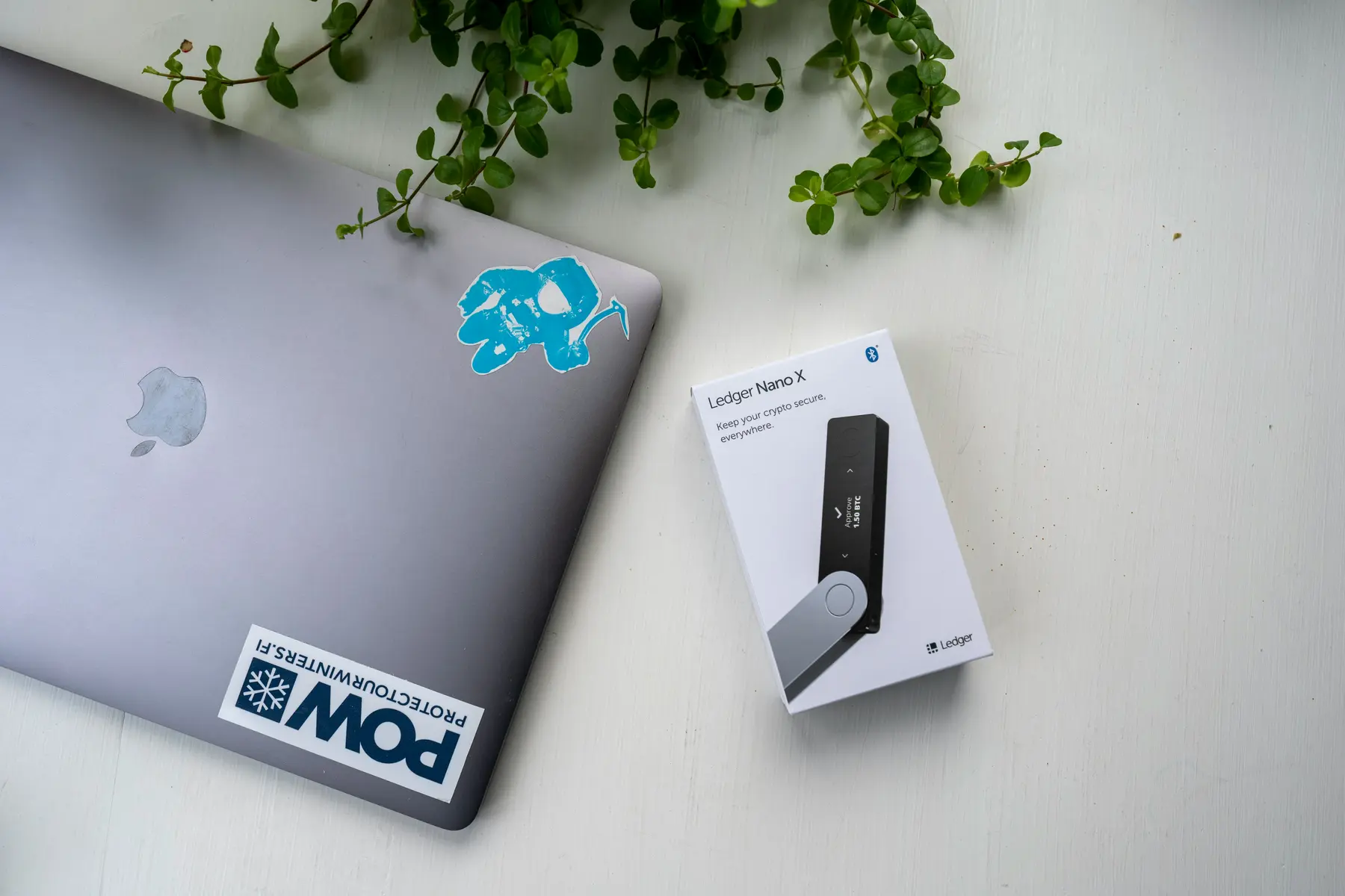 A Ledger Nano X hardware wallet box placed next to a silver laptop on a white surface with green leaves above.
