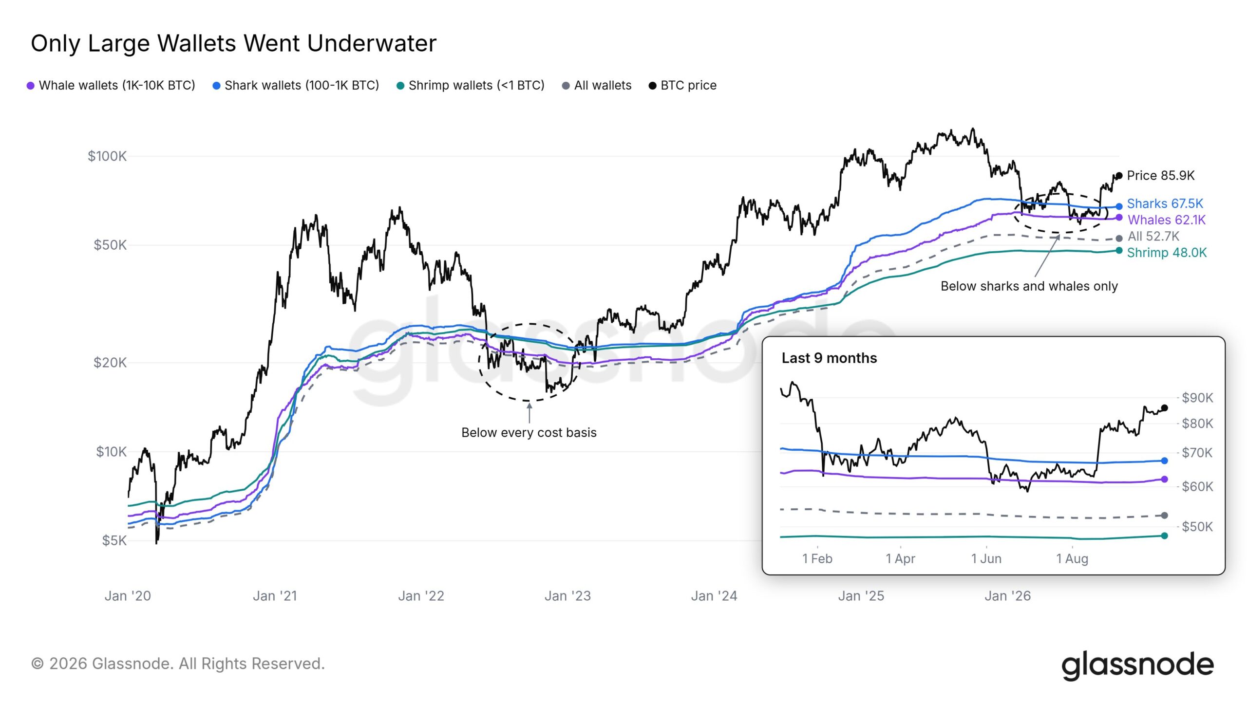 Large entities are back in profit.