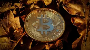 A gold-colored Bitcoin physical coin resting among dried brown autumn leaves.