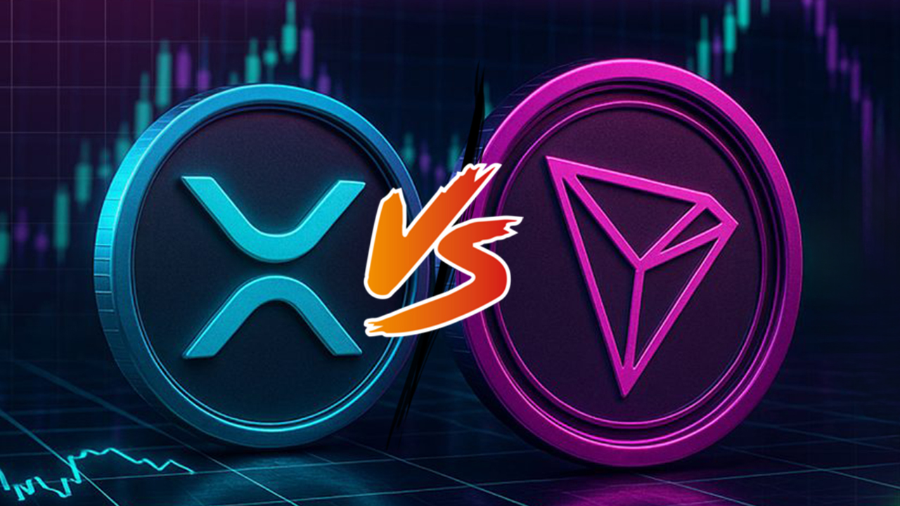XRP与TRON大比拼！2大网络实际上在销售什么？风险又是什么？